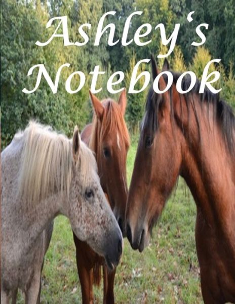 Cover for Bif Ramone · Ashley's Notebook (Paperback Book) (2019)