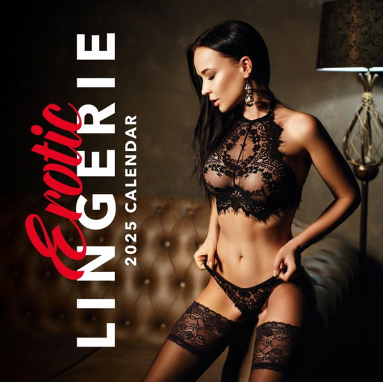 Cover for Red Robin · Erotic Lingerie 2025 Square Wall Calendar (Paperback Book) (2024)