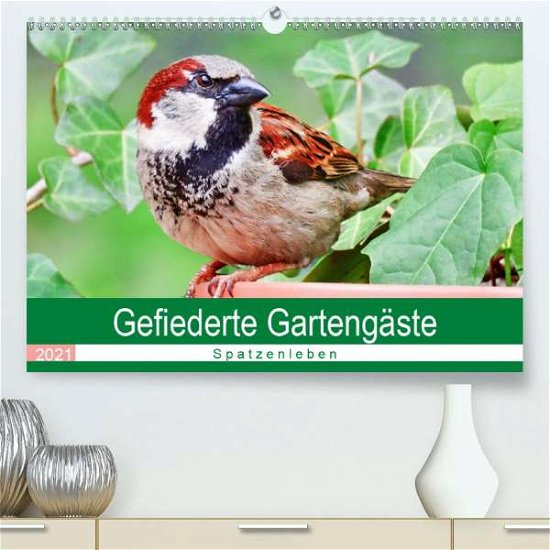Cover for Löwer · Gefiederte Gartengäste - Spatzenl (Bog)
