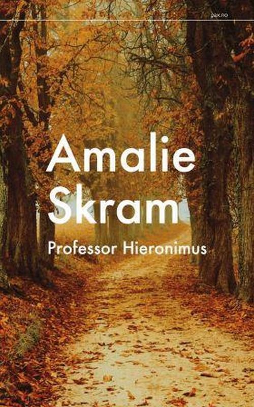 Cover for Amalie Skram · Professor Hieronimus (Book) (2004)
