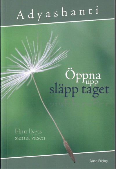 Cover for Adyashanti · Öppna upp, släpp taget : finn livets sanna väsen (Paperback Book) (2019)