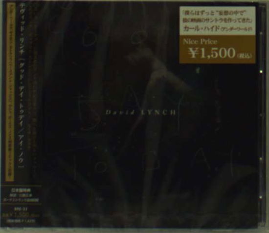 Cover for David Lynch · Good Day Today/i Know (CD) [Japan Import edition] (2011)