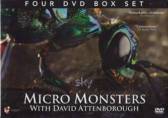 Cover for Sony Pictures · David Attenborough Micro Monsters Four DVD Box Set (DVD)