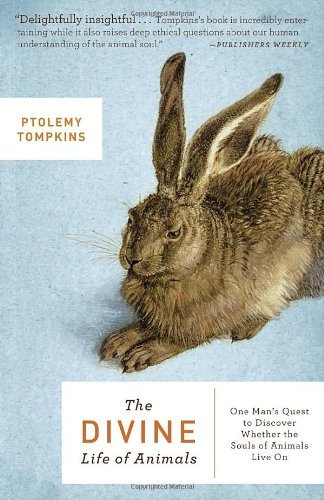 The Divine Life of Animals: One Man's Quest to Discover Whether the Souls of Animals Live on - Ptolemy Tompkins - Boeken - Broadway Books - 9780307451330 - 7 juni 2011