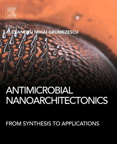 Cover for Alexandru Grumezescu · Antimicrobial Nanoarchitectonics: From Synthesis to Applications (Paperback Book) (2017)