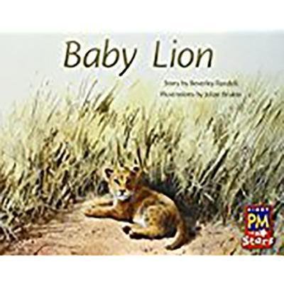 Cover for Rigby · Baby Lion (Paperback Bog) (2019)