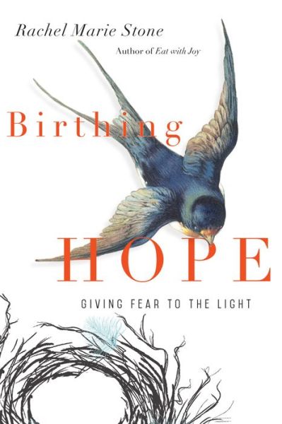 Cover for Rachel Marie Stone · Birthing Hope - Giving Fear to the Light (Paperback Book) (2018)