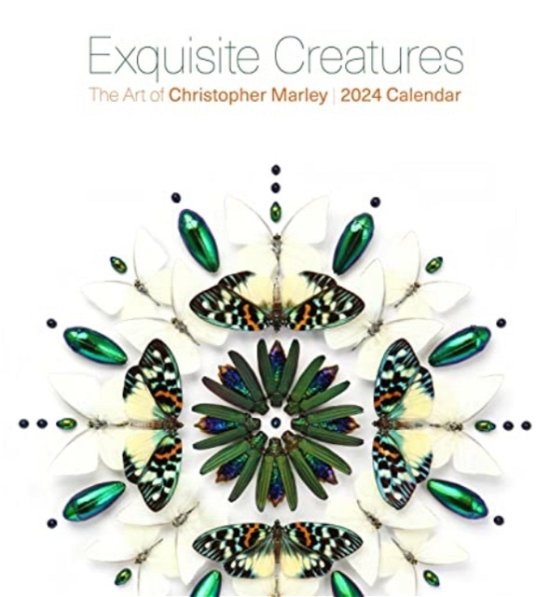 Cover for Christopher Marley · Exquisite Creatures: The Art of Christopher Marley 2024 Wall Calendar (Paperback Book) (2023)