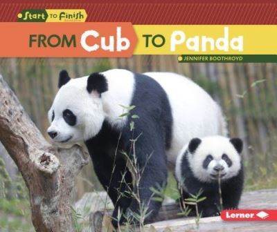 Cover for Jennifer Boothroyd · From Cub to Panda (Paperback Book) (2016)