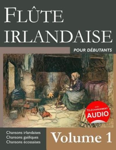Cover for Stephen Ducke · Flûte irlandaise pour débutants - Volume 1 (Paperback Book) (2016)