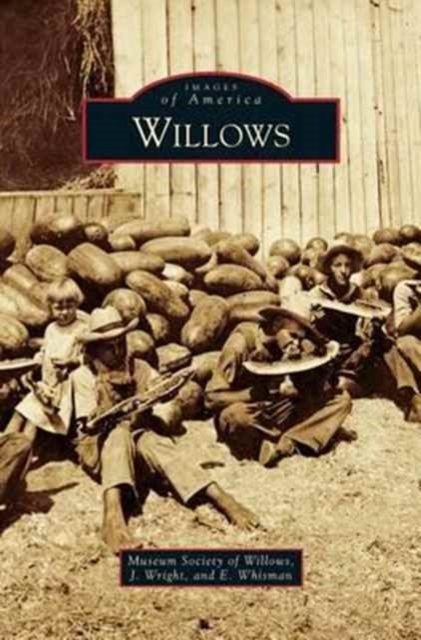 Cover for Museum Society of Willows · Willows (Hardcover Book) (2010)