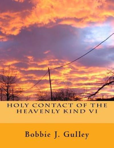 Cover for Bobbie J Gulley · Holy Contact Of The Heavenly Kind VI (Paperback Book) (2017)