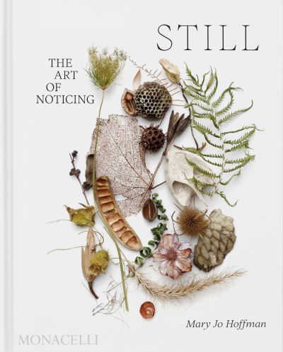 Cover for Mary Jo Hoffman · STILL: The Art of Noticing (Hardcover Book) (2024)