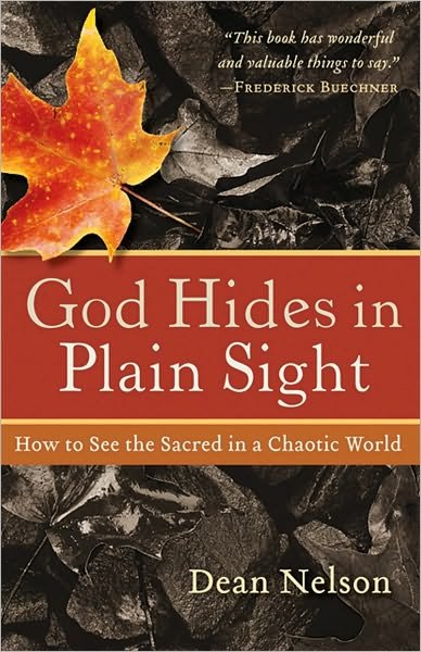 Cover for D Nelson · God Hides In Plain Sight (Pocketbok) (2009)