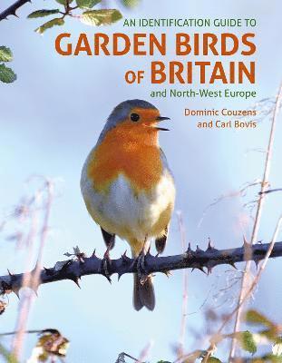 Cover for Dominic Couzens · An ID Guide to Garden Birds of Britain: and North-West Europe (Taschenbuch) (2023)