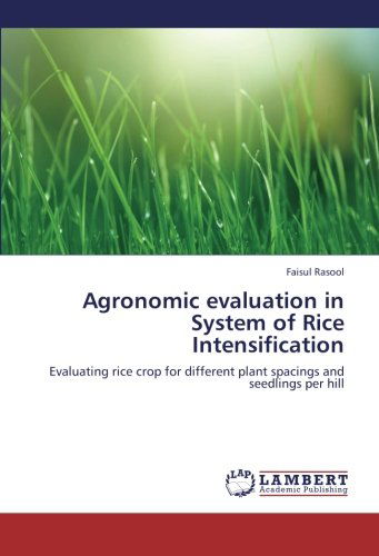 Cover for Faisul Rasool · Agronomic Evaluation in System of Rice Intensification: Evaluating Rice Crop for Different Plant Spacings and Seedlings Per Hill (Paperback Book) (2012)