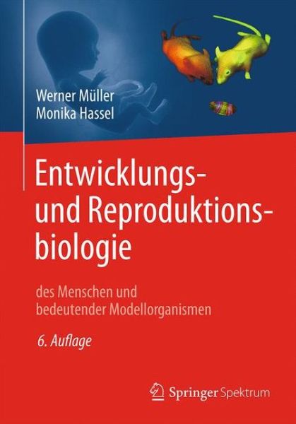 Cover for Werner A. Muller · Entwicklungsbiologie und Reproduktionsbiologie des Menschen und bedeutender Mode (Book) (2018)