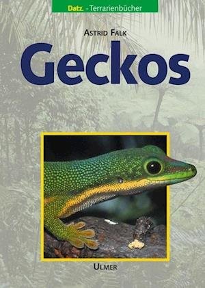 Cover for Astrid Falk · Geckos (Hardcover Book) (2002)