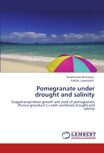 Cover for Naftali Lazarovitch · Pomegranate Under Drought and Salinity: Evapotranspiration Growth and Yield of Pomegranate (Punica Granatum L.) with Combined Drought and Salinity (Paperback Book) (2011)