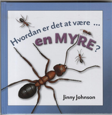 Cover for Jinny Johnson · Hvordan er det at være en myre? (Bound Book) [1st edition] [Indbundet] (2012)