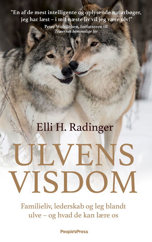 Cover for Elli H. Radinger · Ulvens visdom (Innbunden bok) [1. utgave] (2019)