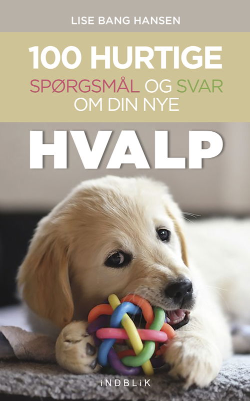 Cover for Lise Bang Hansen · 100 hurtige spørgsmål og svar om din nye hvalp (Sewn Spine Book) [1.º edición] (2020)