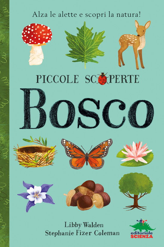 Cover for Libby Walden · Bosco. Alza Le Alette E Scopri La Natura! Ediz. Illustrata (DVD)