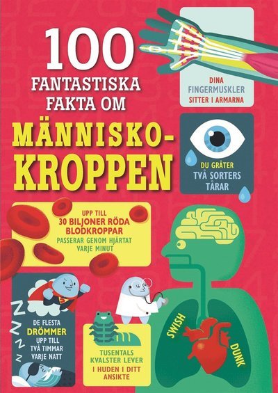 100 fantastiska fakta: 100 fantastiska fakta om människokroppen - Minna Lacey - Books - Tukan förlag - 9789177839330 - November 4, 2019