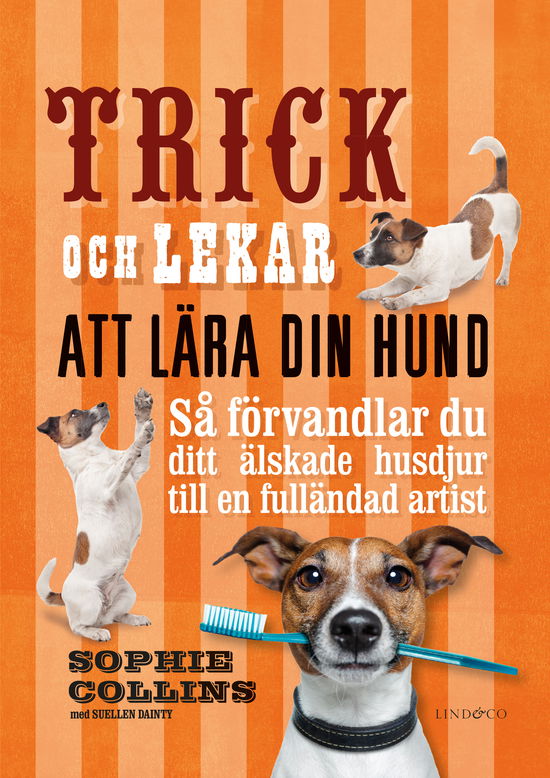 Cover for Sophie Collins · Trick och lekar att lära din hund (Gebundesens Buch) (2023)