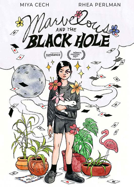 Marvelous and the Black Hole - DVD - Filmy - COMEDY - 0760137100331 - 7 czerwca 2022