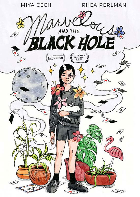 Marvelous and the Black Hole - DVD - Elokuva - COMEDY - 0760137100331 - tiistai 7. kesäkuuta 2022