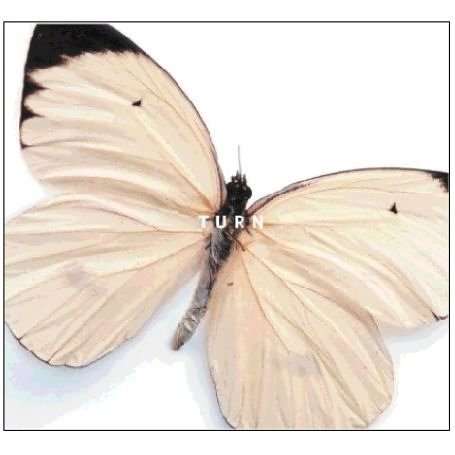 Cover for Turn (CD) (2006)