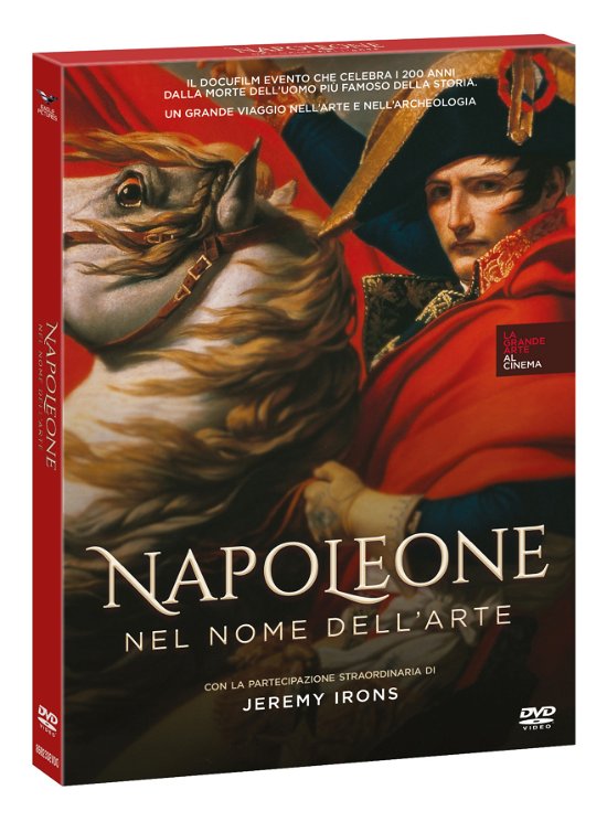 Cover for Napoleone - Nel Nome Dell'arte (DVD) (2022)