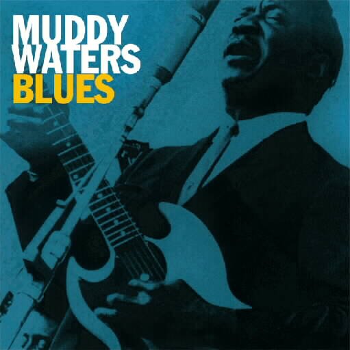 Cover for Muddy Waters · Muddy Waters - Blues (CD) (2017)