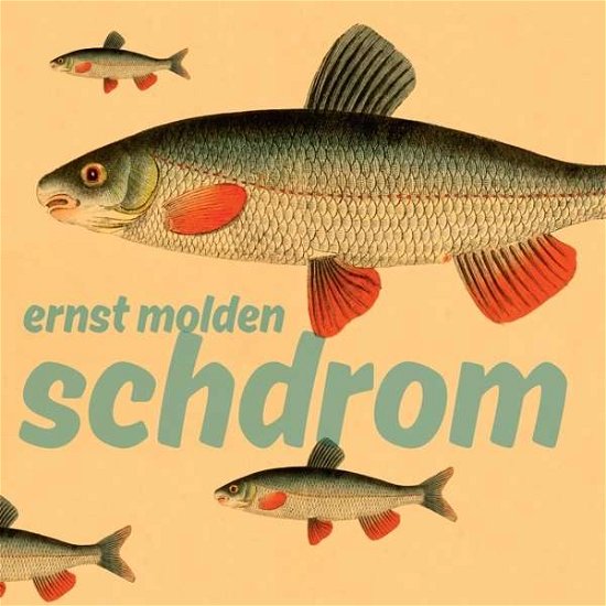 Cover for Ernst Molden · Schdrom (LP) [180 gram edition] (2016)