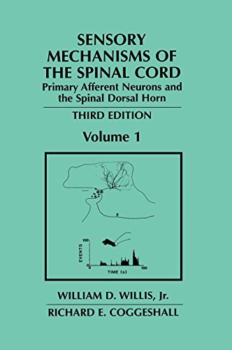 Cover for William D. Willis Jr. · Sensory Mechanisms of the Spinal Cord: Volume 1 Primary Afferent Neurons and the Spinal Dorsal Horn (Hardcover Book) [3rd ed. 2004 edition] (2004)