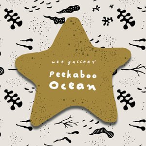 Cover for Surya Sajnani · Peekaboo Ocean - Wee Gallery Peekaboo Cloth Books (Book) (2022)