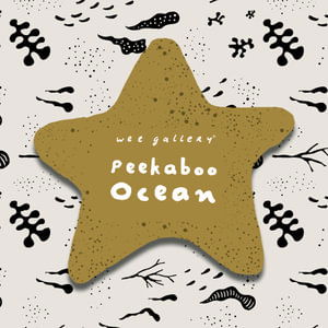 Peekaboo Ocean - Wee Gallery Peekaboo Cloth Books - Surya Sajnani - Książki - Quarto Publishing PLC - 9780711275331 - 11 października 2022