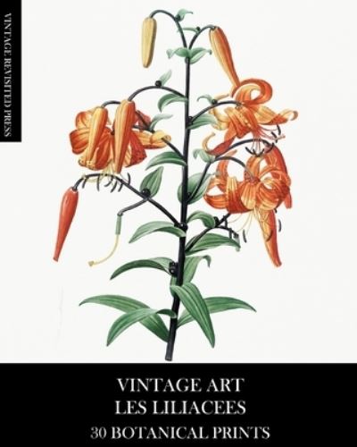 Cover for Vintage Revisited Press · Vintage Art (Taschenbuch) (2024)