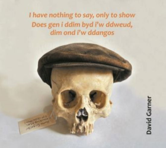 I have nothing to say, only to show / Does gen i ddim byd i'w ddweud, dim ond i'w ddangos - David Garner - Books - The Hmm Foundation - 9781068505331 - May 30, 2025