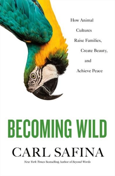 Cover for Carl Safina · Becoming Wild: How Animal Cultures Raise Families, Create Beauty, and Achieve Peace (Hardcover Book) (2020)