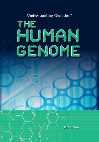 Cover for Bridget Heos · The Human Genome (Understanding Genetics) (Hardcover Book) (2010)