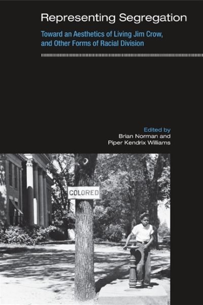 Representing segregation - Brian Norman - Książki - State University of New York Press - 9781438430331 - 5 kwietnia 2010