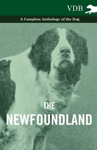 Cover for The Newfoundland - a Complete Anthology of the Dog (Pocketbok) (2010)