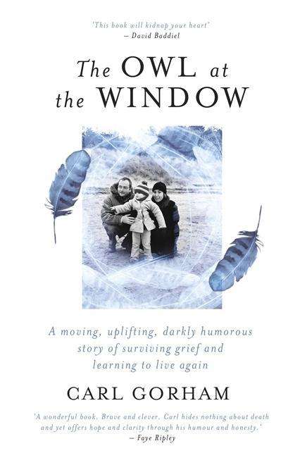 Cover for The Owl at the Window (Book) (2018)