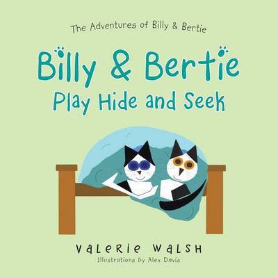 Cover for Valerie Walsh · Billy &amp; Bertie Play Hide and Seek (Paperback Book) (2014)
