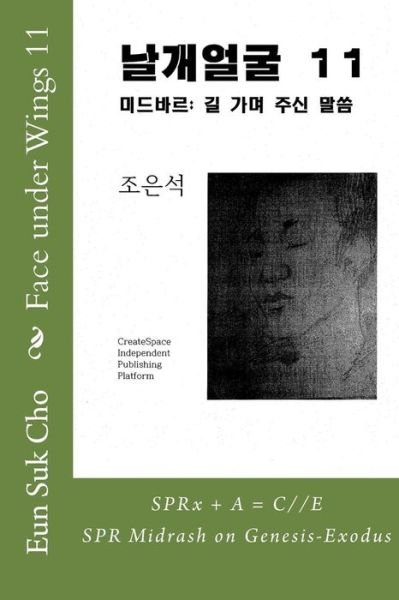Cover for Eun Suk Cho · Face Under Wings 11 (Paperback Book) (2015)