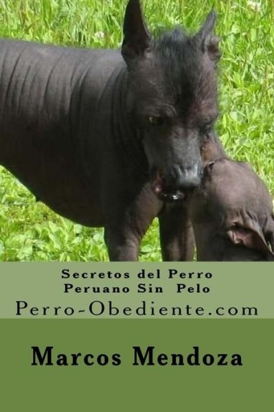 Cover for Marcos Mendoza · Secretos del Perro Peruano Sin Pelo : Perro-Obediente.com (Pocketbok) (2016)