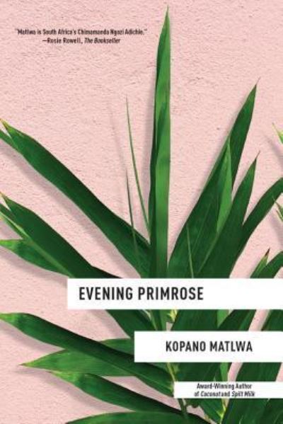 Cover for Kopano Matlwa · Evening primrose (Buch) [First edition. edition] (2019)