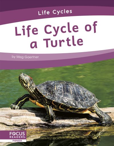 Cover for Meg Gaertner · Life Cycle of a Turtle - Life Cycles (Hardcover Book) (2021)